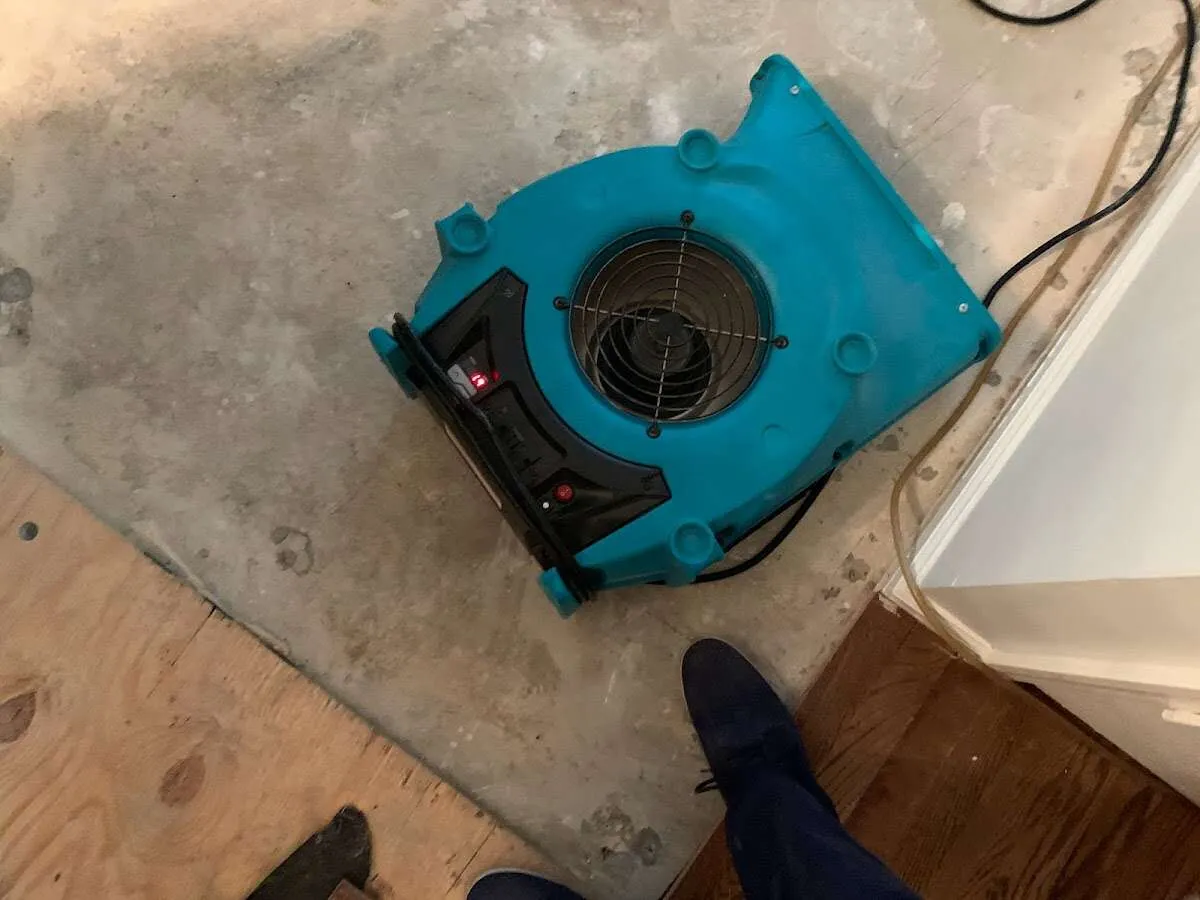 Air mover drying subfloor during Leak Detection & Repair in Mitchell
